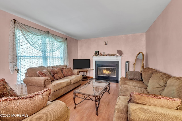 living area featuring wood finished floors and a fireplace with flush hearth