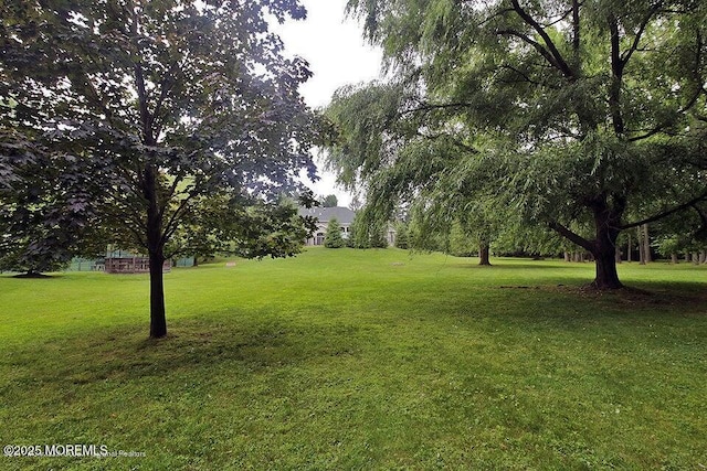 view of green lawn