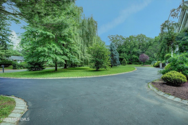 7 Mccampbell Rd, Holmdel, NJ 07733 - view of asphalt road