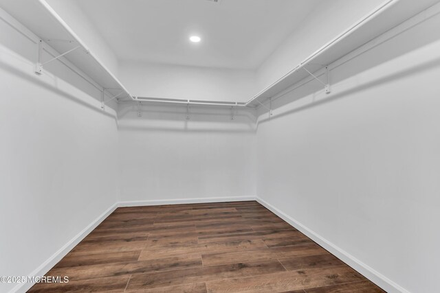 walk in closet featuring dark wood-style flooring