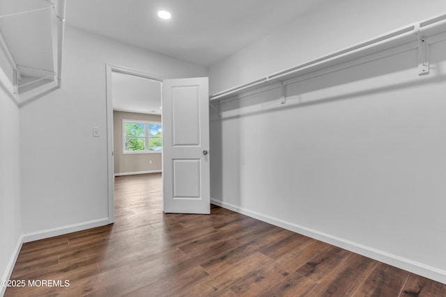 spacious closet featuring dark wood finished floors