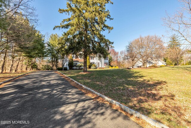 view of front of property featuring a front yard