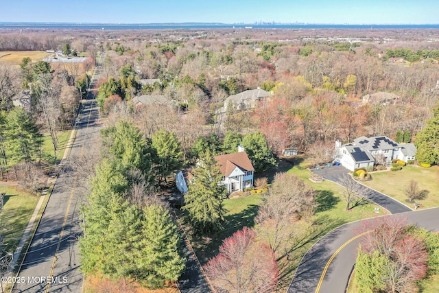 aerial view of a forest