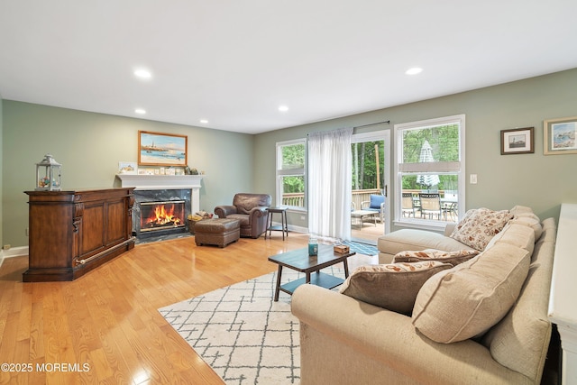 24 Statesboro Rd, Freehold, NJ 07728 - living area featuring a premium fireplace, recessed lighting, light wood-style flooring, plenty of natural light, and baseboards