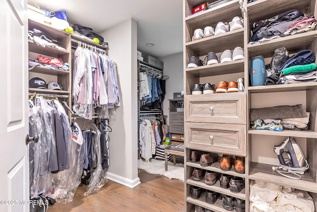 spacious closet featuring wood finished floors
