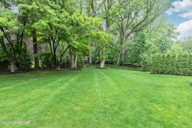 view of green lawn