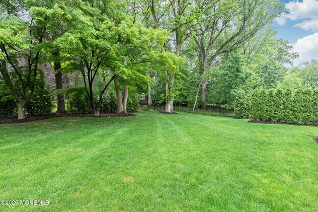 3 Ardmore Pl, Holmdel, NJ 07733 - view of green lawn