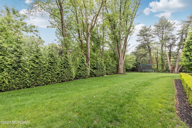 view of grassy yard with a trampoline