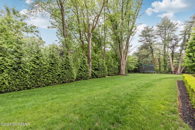 3 Ardmore Pl, Holmdel, NJ 07733 - view of grassy yard with a trampoline