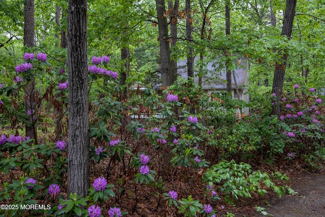 3257 Ridgeway Blvd, Manchester, NJ 08759 - view of nature