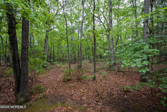 3257 Ridgeway Blvd, Manchester, NJ 08759 - view of wooded area
