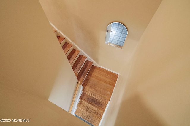 stairs featuring wood finished floors