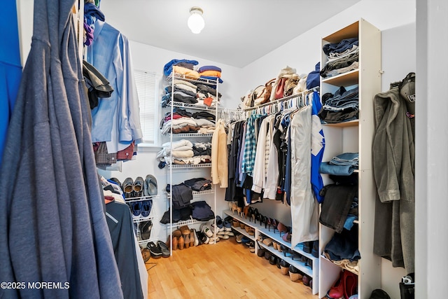walk in closet featuring wood finished floors