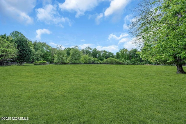 view of grassy yard