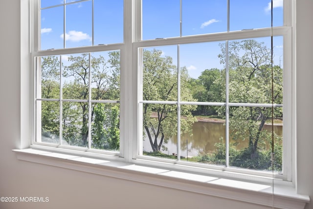detailed view of a water view and view of wooded area