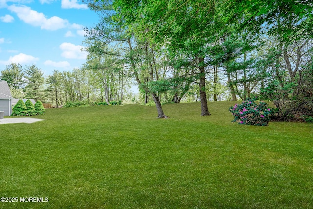 178 Loganberry Ln, Freehold, NJ 07728 - view of grassy yard