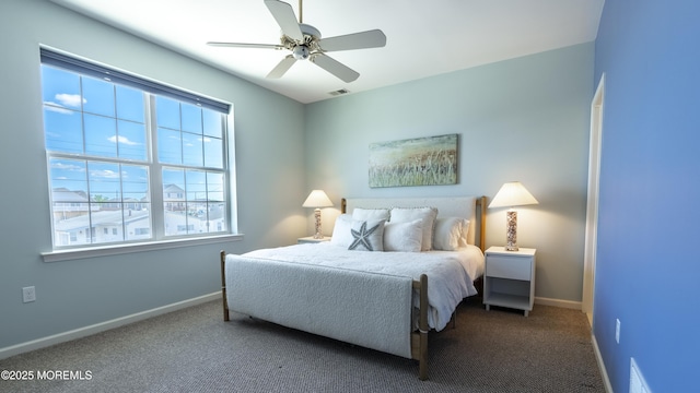 43 W Susquehanna Dr, Little Egg Harbor, NJ 08087 - bedroom with multiple windows, carpet, and baseboards