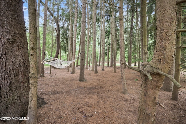view of nature
