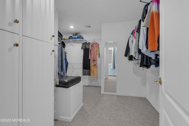 687 Princeton Ave, Brick, NJ 08724 - spacious closet featuring carpet flooring