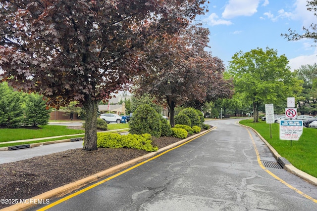 293 Gloucester Ct, Matawan, NJ 07747 - view of asphalt street with curbs