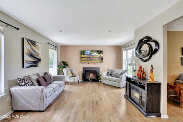 1041 Aumack Rd, Jackson, NJ 08527 - living area with light wood-style floors and a glass covered fireplace