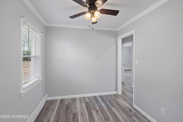 918 Briar Ave, Toms River, NJ 08753 - photo 6