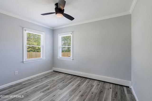 918 Briar Ave, Toms River, NJ 08753 - photo 9