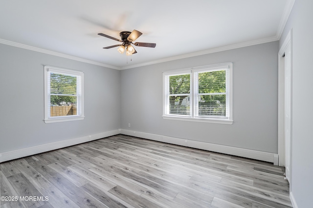 918 Briar Ave, Toms River, NJ 08753 - photo 11