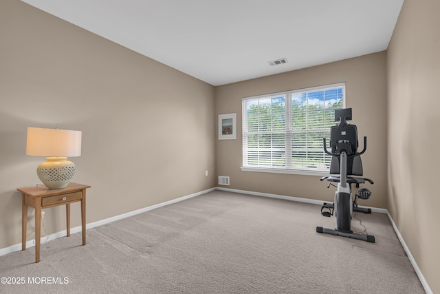 exercise area featuring baseboards and carpet floors