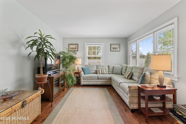 living room featuring wood finished floors