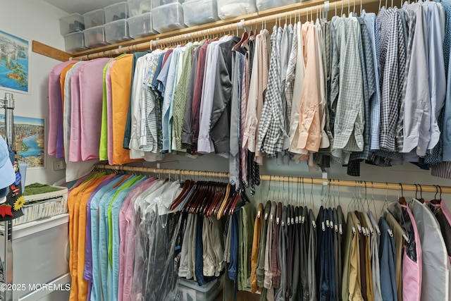 view of spacious closet