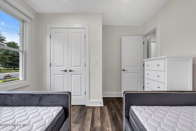 523 Norwood Ave, Long Branch, NJ 07740 - bedroom with dark wood-type flooring, baseboards, and a closet