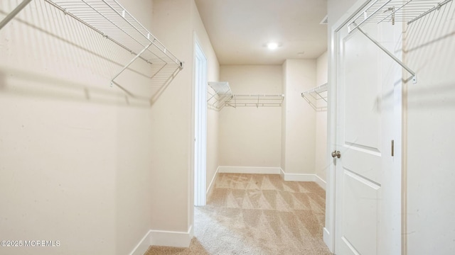 15 Hulse Landing Rd, Brick, NJ 08723 - walk in closet featuring carpet floors