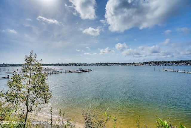 1015 Forrest Rd, Brielle, NJ 08730 - water view with a dock