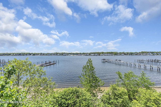 1015 Forrest Rd, Brielle, NJ 08730 - water view featuring a dock