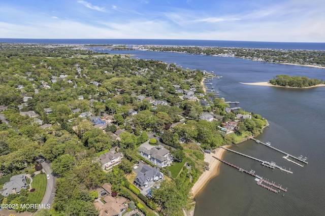 1015 Forrest Rd, Brielle, NJ 08730 - aerial view of property's location with a large body of water, nearby suburban area, and a tree filled landscape