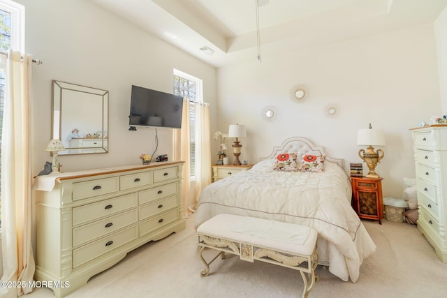 7 Salem Ct, Barnegat, NJ 08005 - bedroom with light carpet and a tray ceiling
