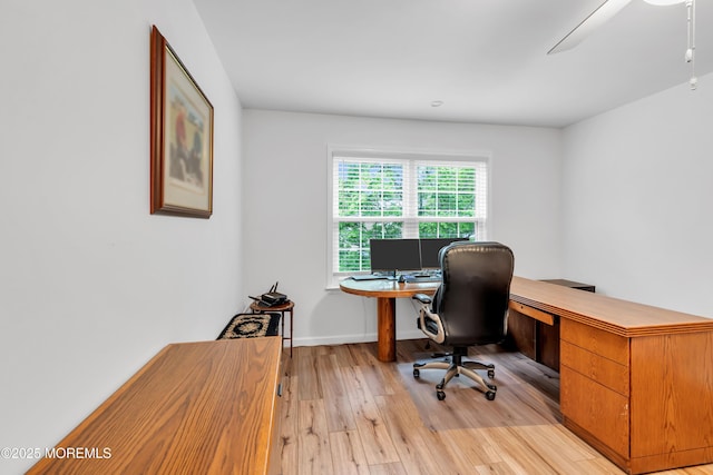 office featuring light wood-style flooring