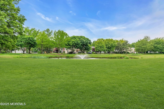 view of home's community with a yard and a water view
