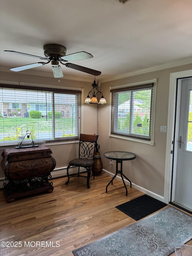 16B Robin St Unit 16B, Manchester, NJ 08759 - living area with plenty of natural light, crown molding, ceiling fan, and baseboards