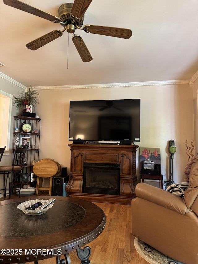 16B Robin St Unit 16B, Manchester, NJ 08759 - living room featuring ornamental molding, wood finished floors, ceiling fan, and a glass covered fireplace