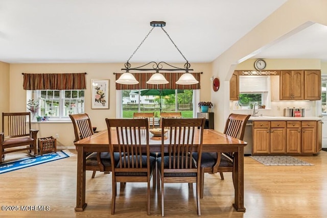 dining room featuring light wood-style flooring, healthy amount of natural light, and arched walkways