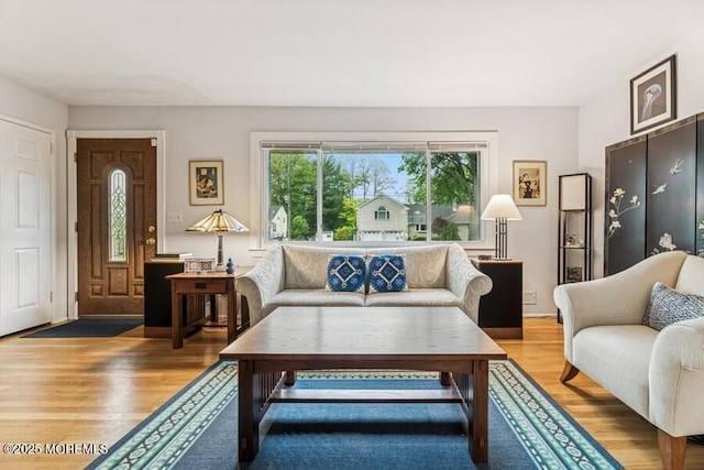 living room featuring light wood-style flooring