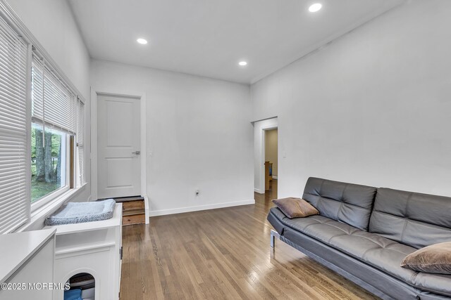 441 E Bird Village Rd, Jackson, NJ 08527 - living area featuring wood finished floors, recessed lighting, and baseboards