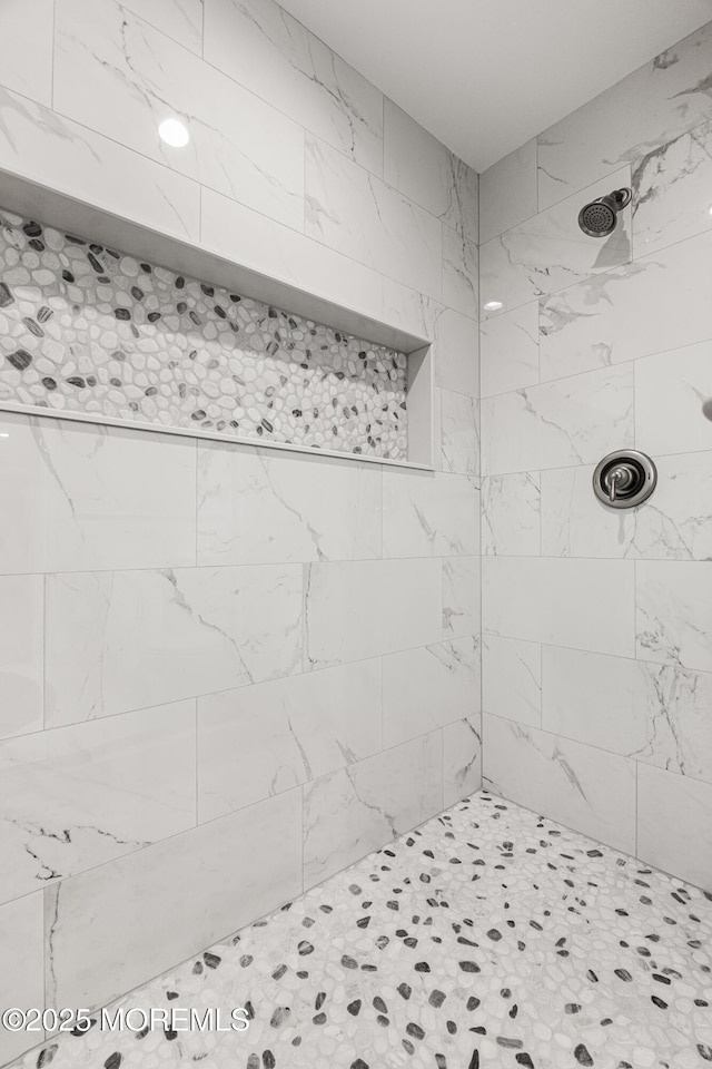 42 W Mohawk Dr, Little Egg Harbor, NJ 08087 - full bath featuring a tile shower