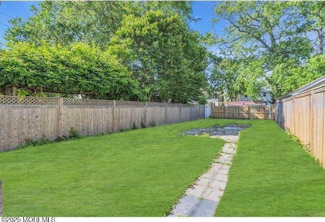1031 3rd Ave, Asbury Park, NJ 07712 - view of yard