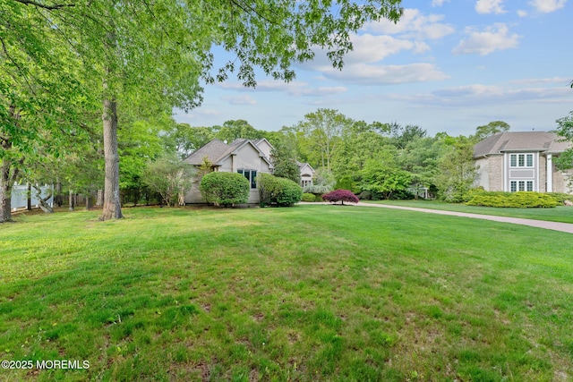 view of grassy yard