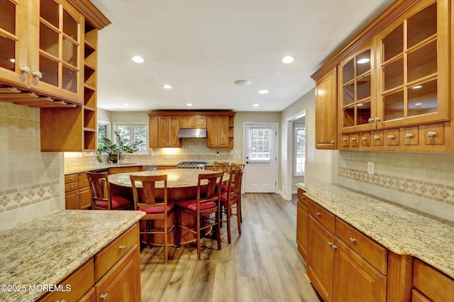 5 Eagle Hill Rd, Holmdel, NJ 07733 - kitchen with open shelves, decorative backsplash, under cabinet range hood, light wood-type flooring, and recessed lighting