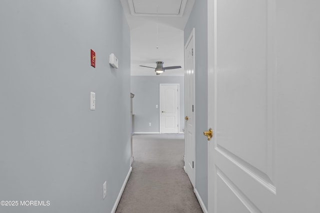 13 Dori Ln, Barnegat, NJ 08005 - corridor featuring attic access, carpet floors, and baseboards