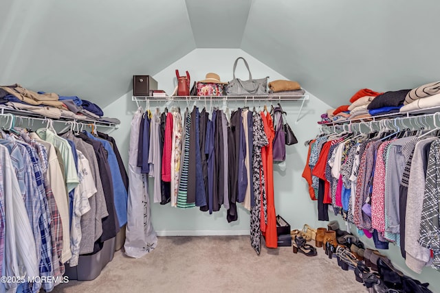 13 Dori Ln, Barnegat, NJ 08005 - spacious closet featuring carpet and vaulted ceiling